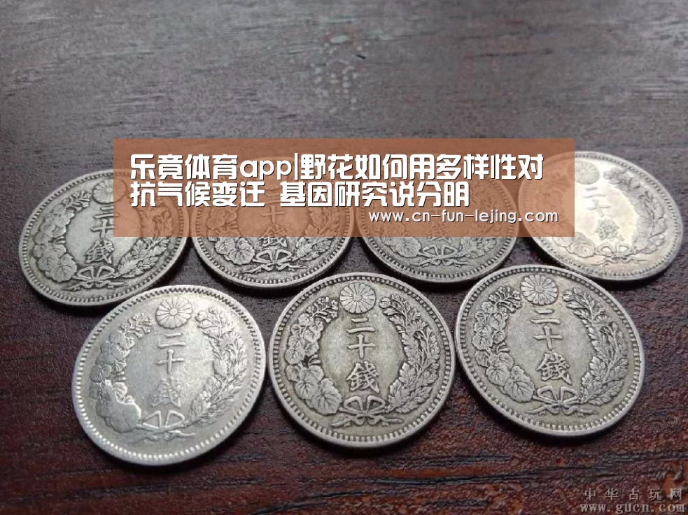 乐竟体育app|野花如何用多样性对抗气候变迁 基因研究说分明(图1) 乐竟棋牌