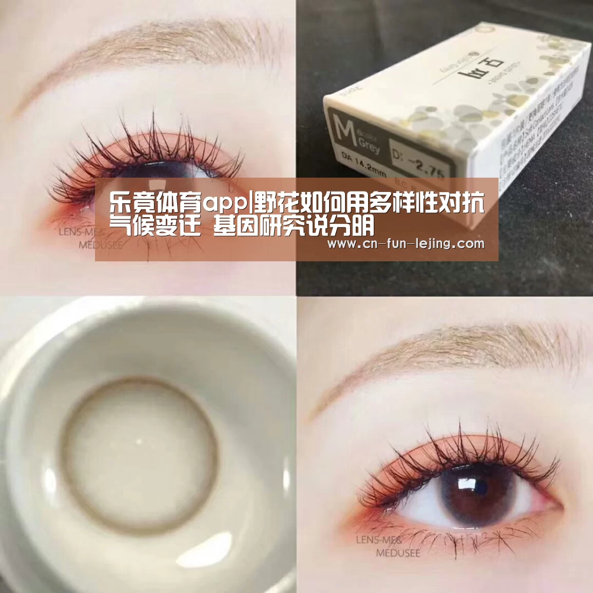 乐竟体育app|野花如何用多样性对抗气候变迁 基因研究说分明(图3) 乐竟平台
