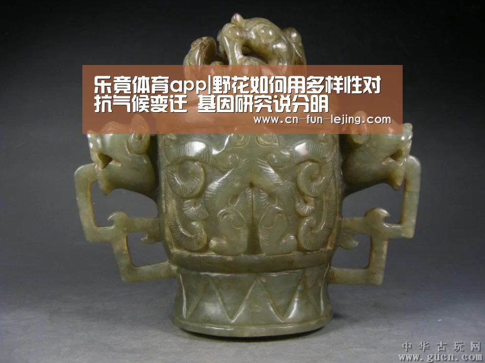 乐竟体育app|野花如何用多样性对抗气候变迁 基因研究说分明(图4) 乐竟棋牌
