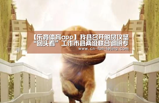 乐竟棋牌